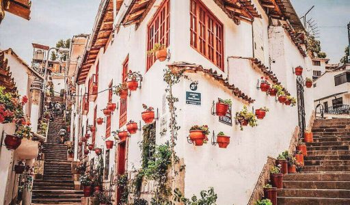 Calle-7-Borreguitos-vista-baja-1000x1024