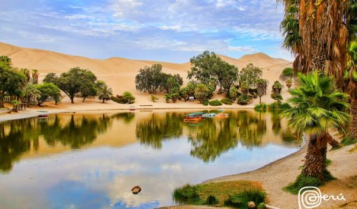 WhatsApp Image 2018-10-23 at 15.28.58 (2)