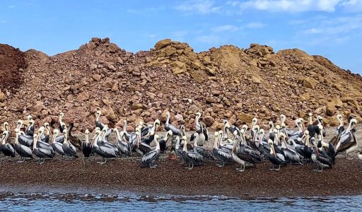 WhatsApp Image 2018-11-16 at 18.02.59 (2)