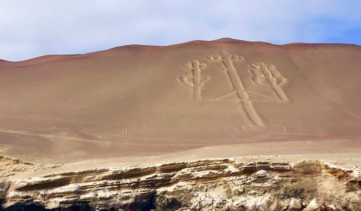 WhatsApp Image 2018-11-16 at 18.02.59 (3)