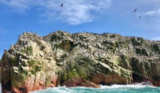 WhatsApp Image 2018-11-16 at 18.02.59