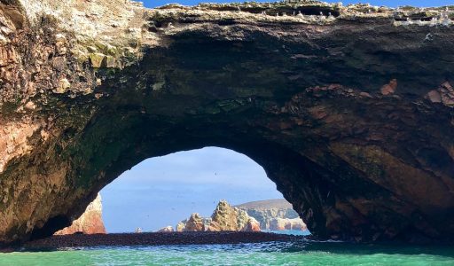 WhatsApp Image 2018-11-16 at 18.03.00 (2)