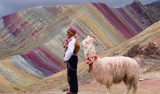 WhatsApp Image 2019-02-23 at 15.02.11