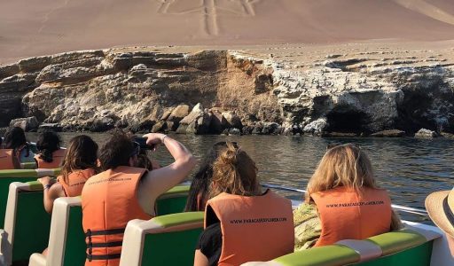 WhatsApp Image 2019-03-20 at 20.42.58